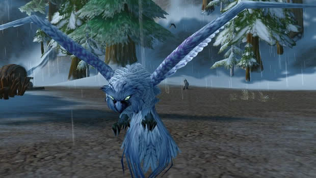 wow��ɫèͷӥС���ﱾ��6��ֹͣˢ��