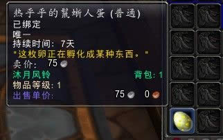 wow6.0���¡�±�����ߣ�Ȥζ������αװ